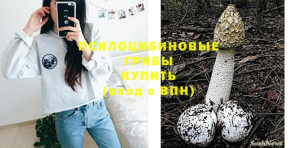 индика Беломорск
