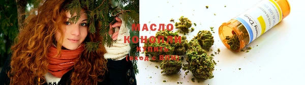 индика Беломорск