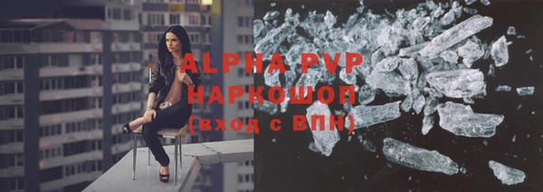 индика Беломорск