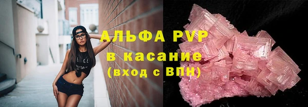 индика Беломорск
