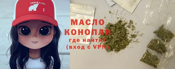 индика Беломорск