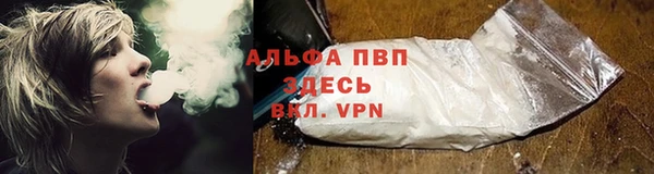 PSILOCYBIN Бронницы