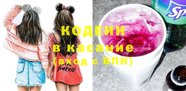 индика Беломорск