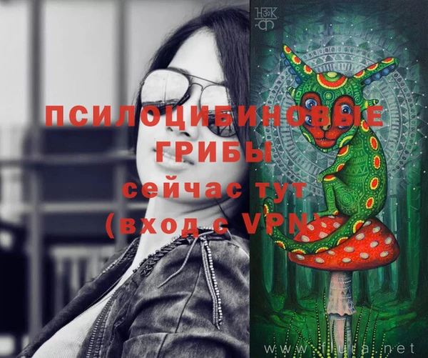 PSILOCYBIN Бронницы