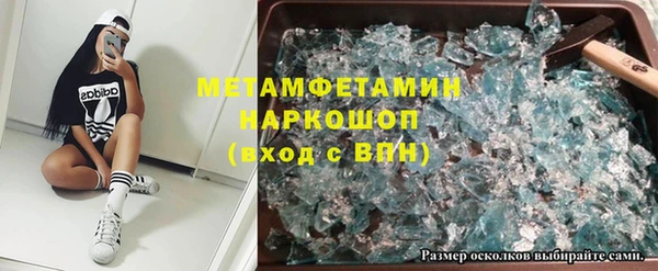 PSILOCYBIN Бородино
