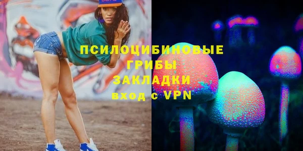 PSILOCYBIN Бородино