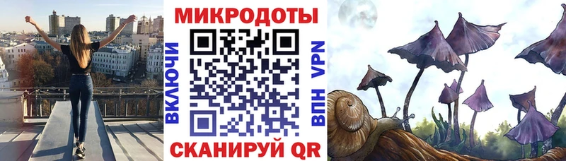 купить   Белая Холуница  Галлюциногенные грибы GOLDEN TEACHER 